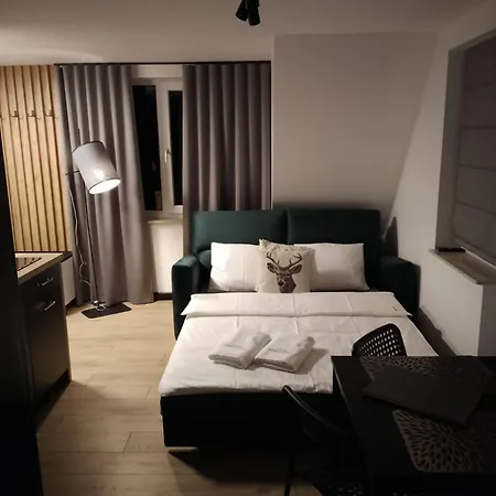 Apartamenty Drewno I Kamien Wetlina Exterior photo