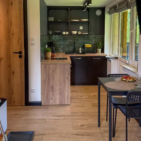 Apartamenty Drewno I Kamien Wetlina Exterior photo