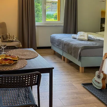 Apartamenty Drewno I Kamien Wetlina Exterior photo