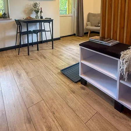 Apartamenty Drewno I Kamien Wetlina Exterior photo