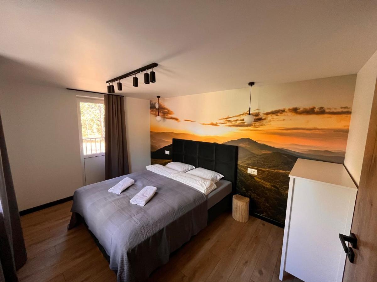 Apartment Drewno I Kamien Wetlina
