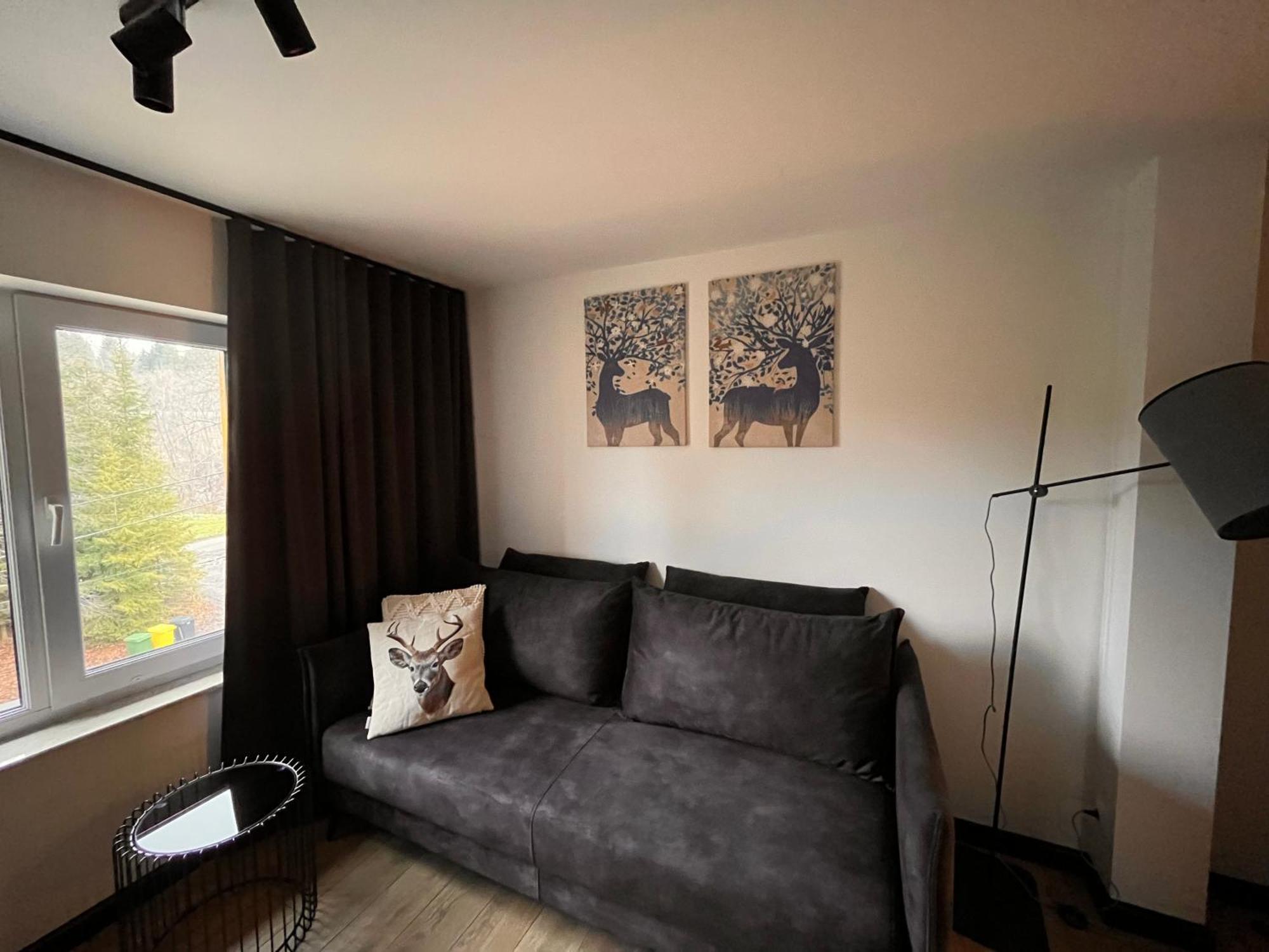 Drewno I Kamien Apartment *