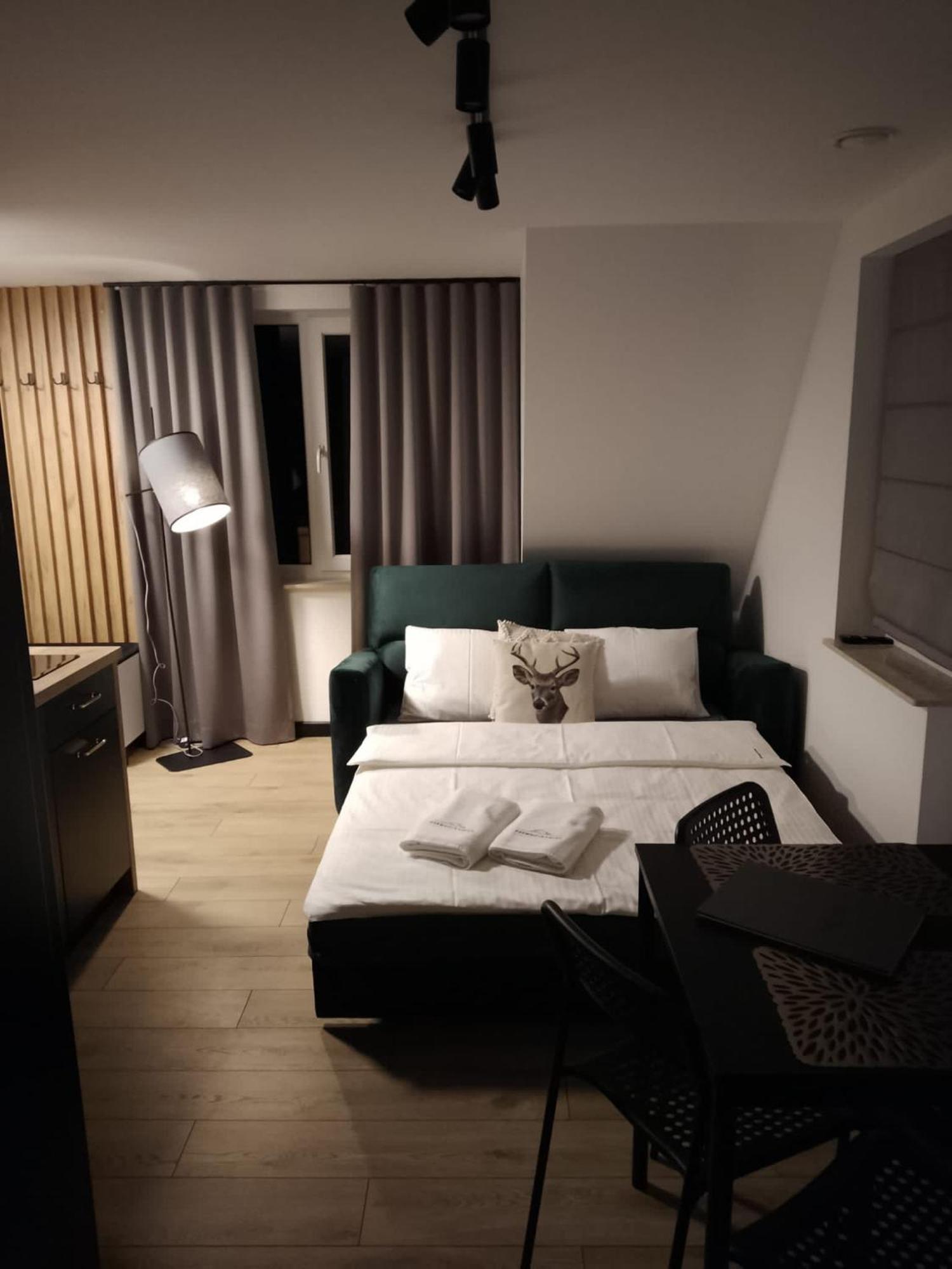 Apartment Drewno I Kamien Wetlina