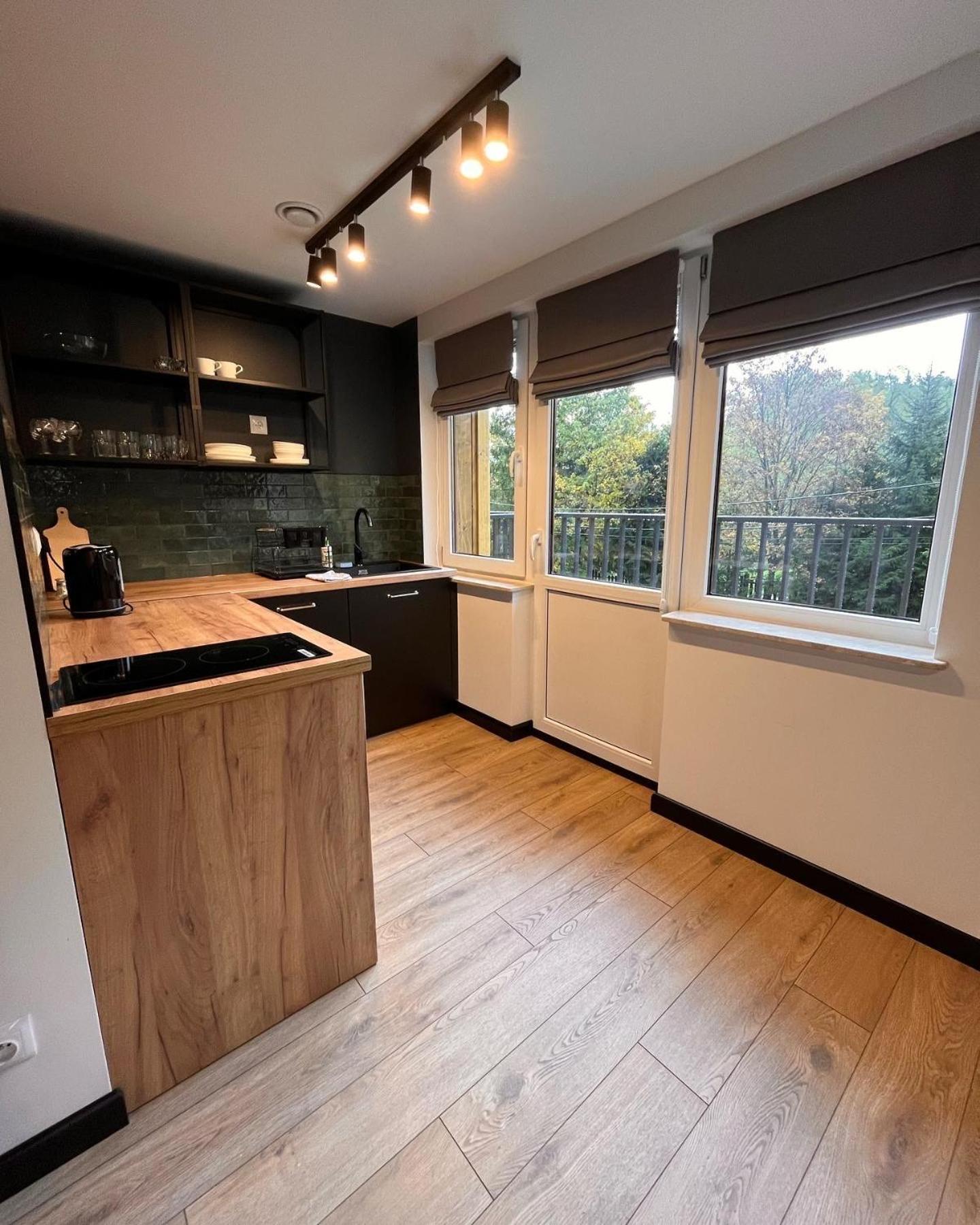 Apartment Drewno I Kamien Wetlina